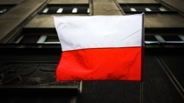 Польские фермеры жалуются на некачественное украинское зерно