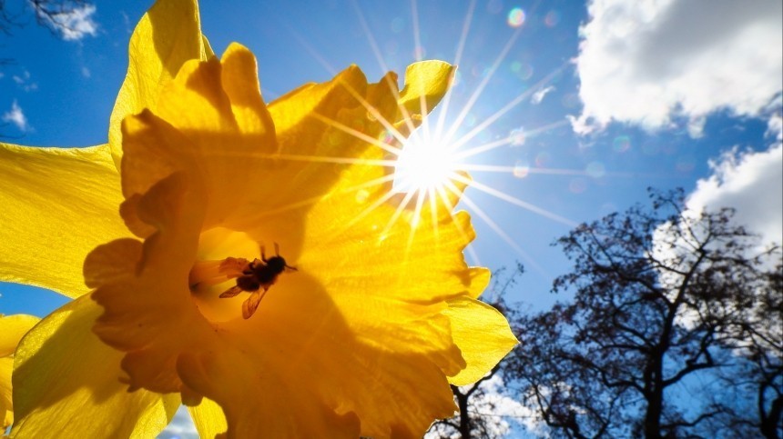 От аллергии до дегидратации: чем опасно теплое весеннее солнце