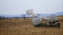 ВС РФ уничтожили до десяти боевиков ВСУ и две гаубицы «Гвоздика» на херсонском направлении