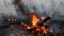 Дым окутал Свердловскую область из-за горящего неподалеку леса