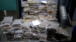 Почти 800 килограммов наркотиков на сумму 350 млн рублей изъяли в Петербурге