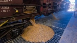 Переговоры о поставках украинского зерна через Польшу окончательно провалились