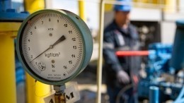 Газ в каждый дом: Турчак оценил осуществление программы газификации на Алтае