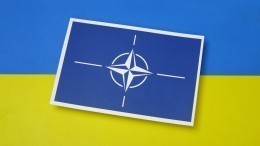 В Чехии назвали условие для рассмотрения заявки Украины на вступление в НАТО