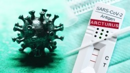 «Большая заразность»: подвид коронавируса «арктур» может обходить иммунитет