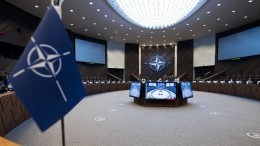 Украина потребовала от НАТО предоставить план по вступлению до конца года