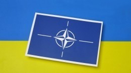 Киев решительно требует вступления в НАТО, несмотря на несоответствие критериям