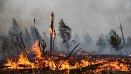 Лесные пожары охватили более 10 сел в Свердловской области, есть погибший