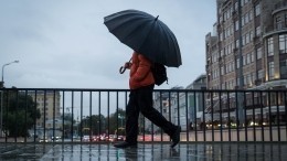 «Будет свежо»: погода в майские праздники может разочаровать москвичей