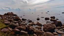 Лысая и мертвая: страшную находку обнаружили на берегу Финского залива