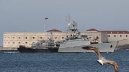Развожаев сообщил о двух сбитых беспилотниках над Крымом и у Севастопольской бухты