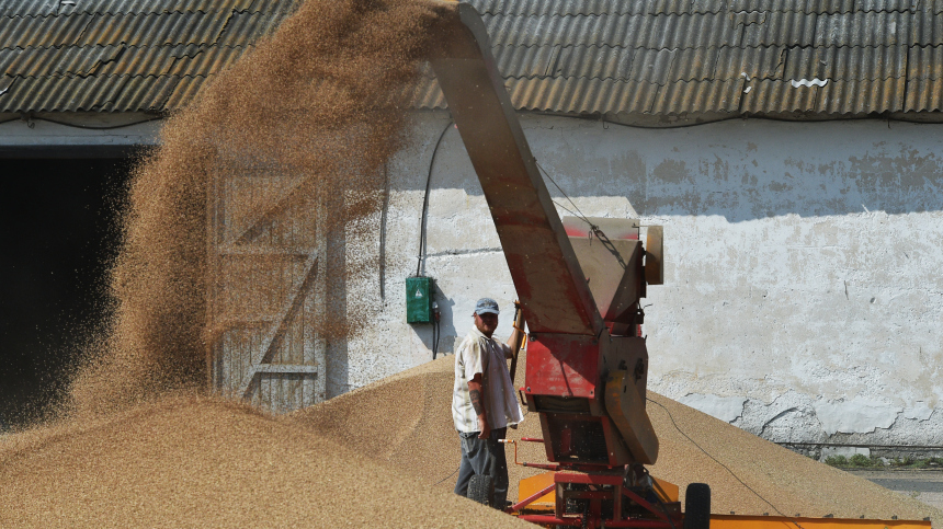 Еврокомиссия запретила экспорт украинского зерна в пять стран Восточной Европы
