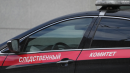 «Без какого-либо мотива»: почему школьницу забили молотком под Петербургом
