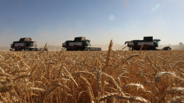 «Не забегать вперед»: в Кремле видят мало поводов для оптимизма по зерновой сделке