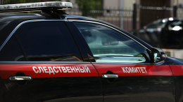 «Выпущу кишки»: что известно о подростке, подозреваемом в зверском убийстве школьницы в Петербурге