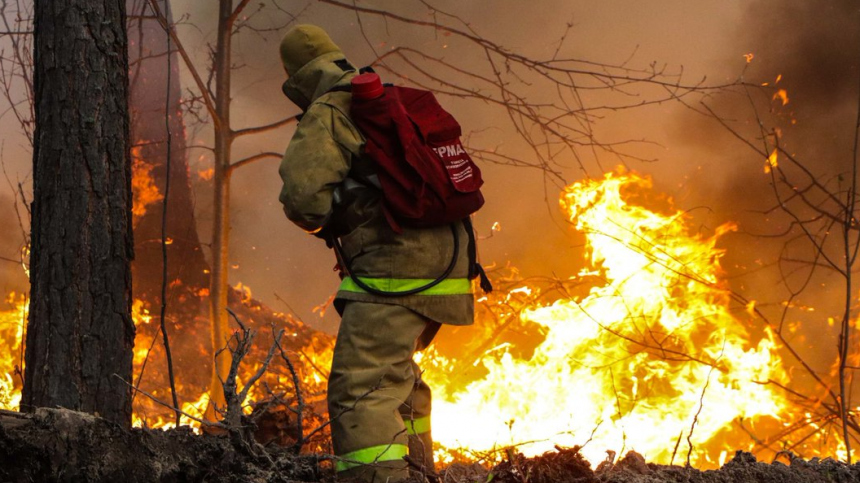 В огненном кольце: как спасатели борются с пожарами, охватившими несколько регионов России