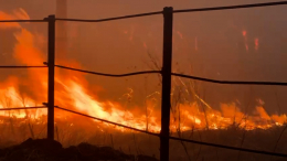 «Ничего нет, все сгорело»: лесной пожар почти полностью уничтожил село под Тюменью