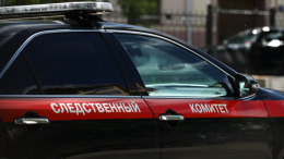 СК РФ квалифицировал подрыв автомобиля Захара Прилепина как теракт