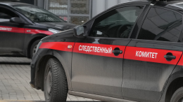 СК РФ возбудил уголовное дело по факту теракта в связи с подрывом авто Прилепина