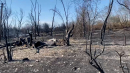 Сгорели до основания: видео с коптера пожарища в Курганской области