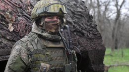 ВС РФ ликвидировали более 240 украинских боевиков на донецком направлении