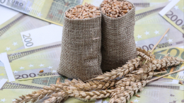 «В пику или вопреки»: в МИД РФ назвали будущее зерновой сделки