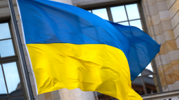 Глава немецкой фракции «Левых» попал в скандал из-за флага Украины