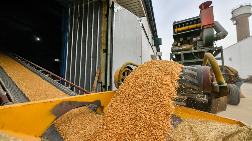 Обвинить Россию в нарушениях: какие перспективы есть у зерновой сделки