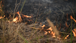 Огонь отступает, но не сдается: в РФ за сутки площадь природных пожаров уменьшилась в 20 раз