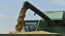 «Нужно дождаться»: в Кремле оценили перспективы продления зерновой сделки