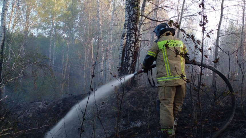 Задержан предполагаемый виновник природного пожара в Свердловской области
