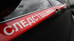 Уголовное дело о теракте возбудили после нападения ВСУ на Белгородскую область