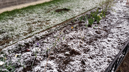 Майская метель: Норильск накрыли очередные снегопады