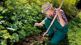 Неудача на даче: чем можно заразиться при работе в огороде