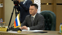 Генпрокурор России Краснов встретился с египетским коллегой