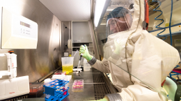 Минобороны: США планировали работу с особо опасными инфекциями в Закавказье