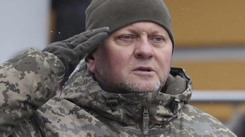 Украинский генерал обвинил Зеленского в слежке за Залужным: «Доходит до маразма»