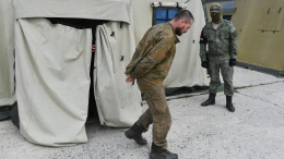Российские военные взяли в плен более 20 украинских боевиков в ЛНР