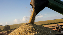 «Перебои по всему миру»: как Запад мешает осуществлению зерновой сделки