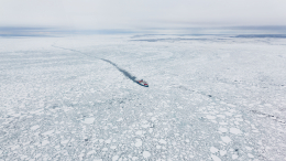 «Краеугольный камень»: зачем США понадобился конфликт в Арктике