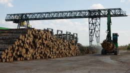 Британия запрещает импорт из Белоруссии золота, цемента и древесины