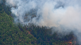 Площадь лесных пожаров в Алтайском крае превысила четыре тысячи гектаров