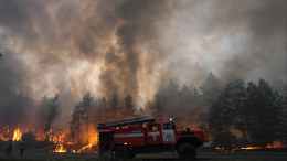 Расстояние может спасти жизнь: когда нужно эвакуироваться при лесных пожарах