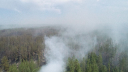 Площадь лесных пожаров в Алтайском крае превысила четыре тысячи гектаров