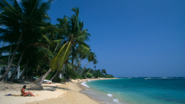 «Усердно работает»: на Шри-Ланке появятся бесплатные визы для туристов