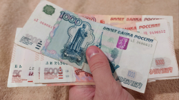 Голикова озвучила число россиян, занятых с заработком ниже уровня МРОТ
