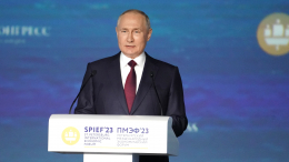 Сальдо: Путин уверенно и достойно ответил на провокационные вопросы на ПМЭФ