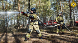 Автоугонщики устроили крупный лесной пожар в Ленобласти