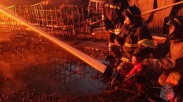 Гигантский огненный факел: цех по производству паллет вспыхнул в Подмосковье