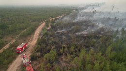 Путин не исключил введения уголовной ответственности за поджоги леса и сухой травы